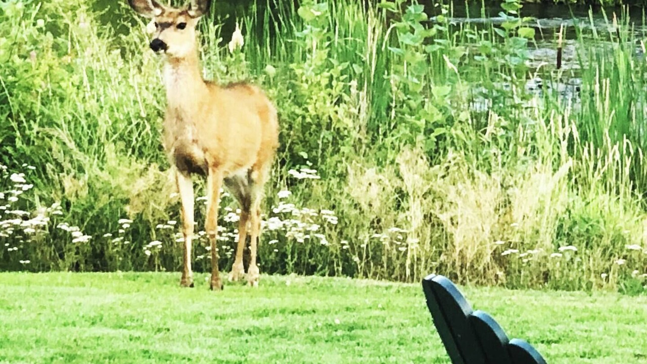 Photo of Others in Tumalo