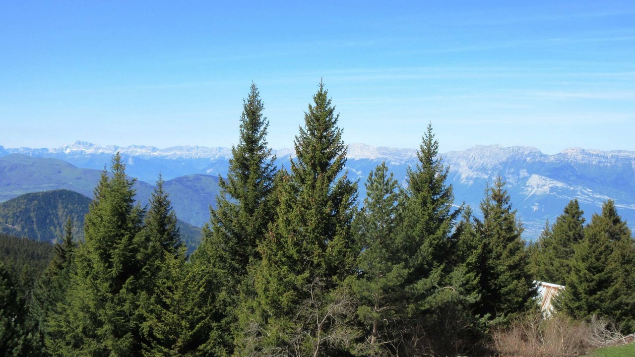 Photo of Others in Chamrousse