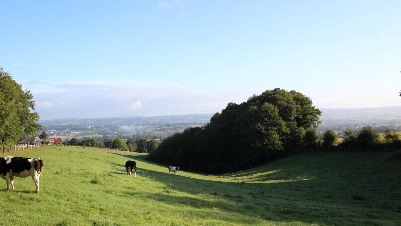 Photo of Others in Le Grand-Celland