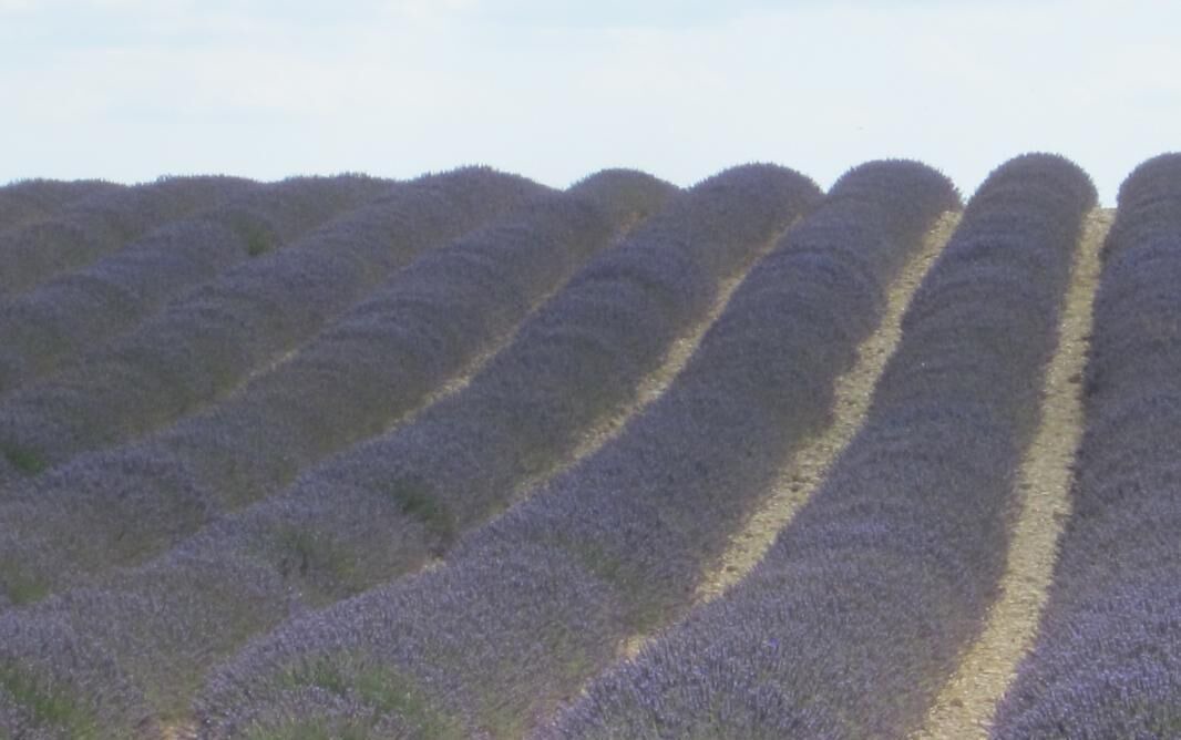 Photo of Others in Regusse