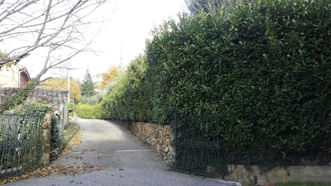 Photo of Outdoor in Salernes