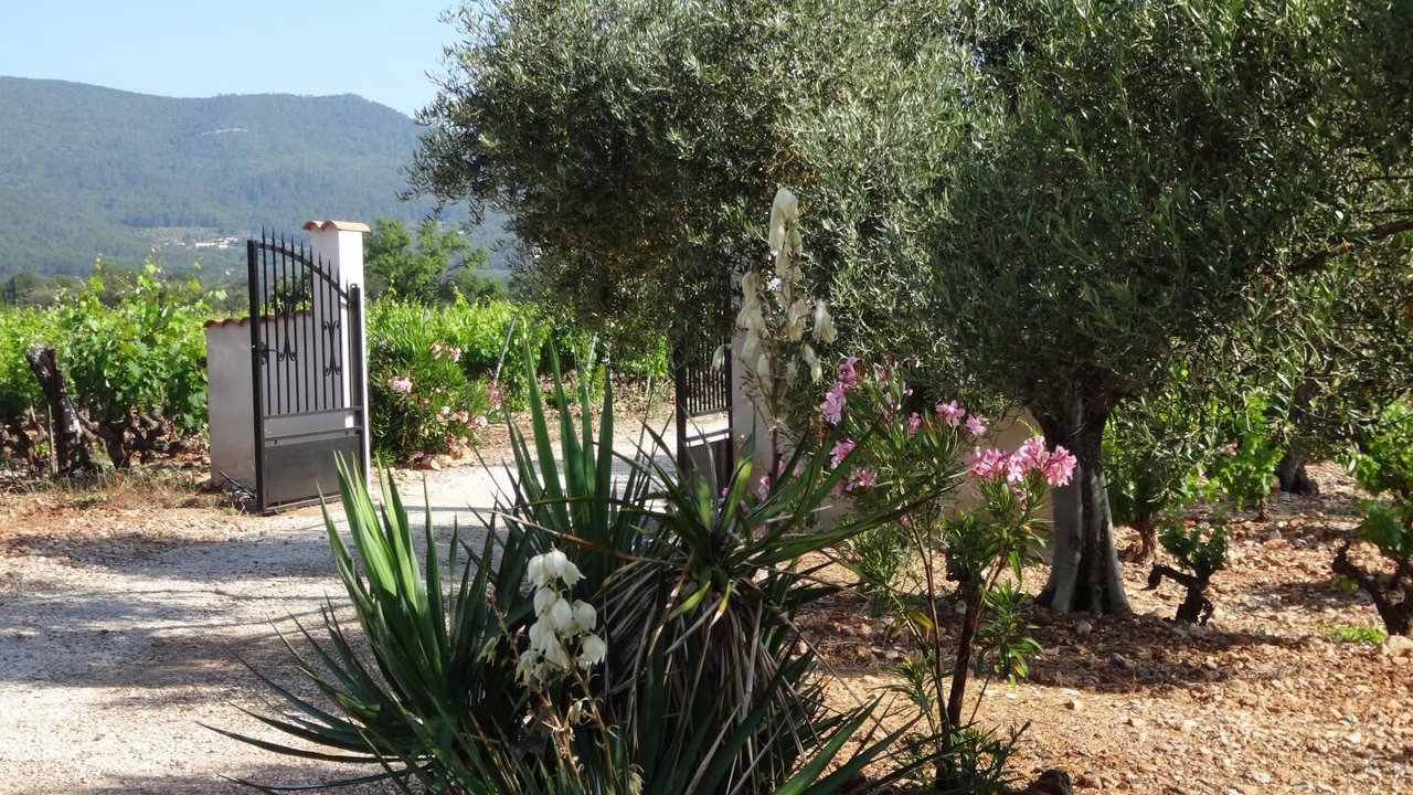 Photo of Outdoor in Cuers