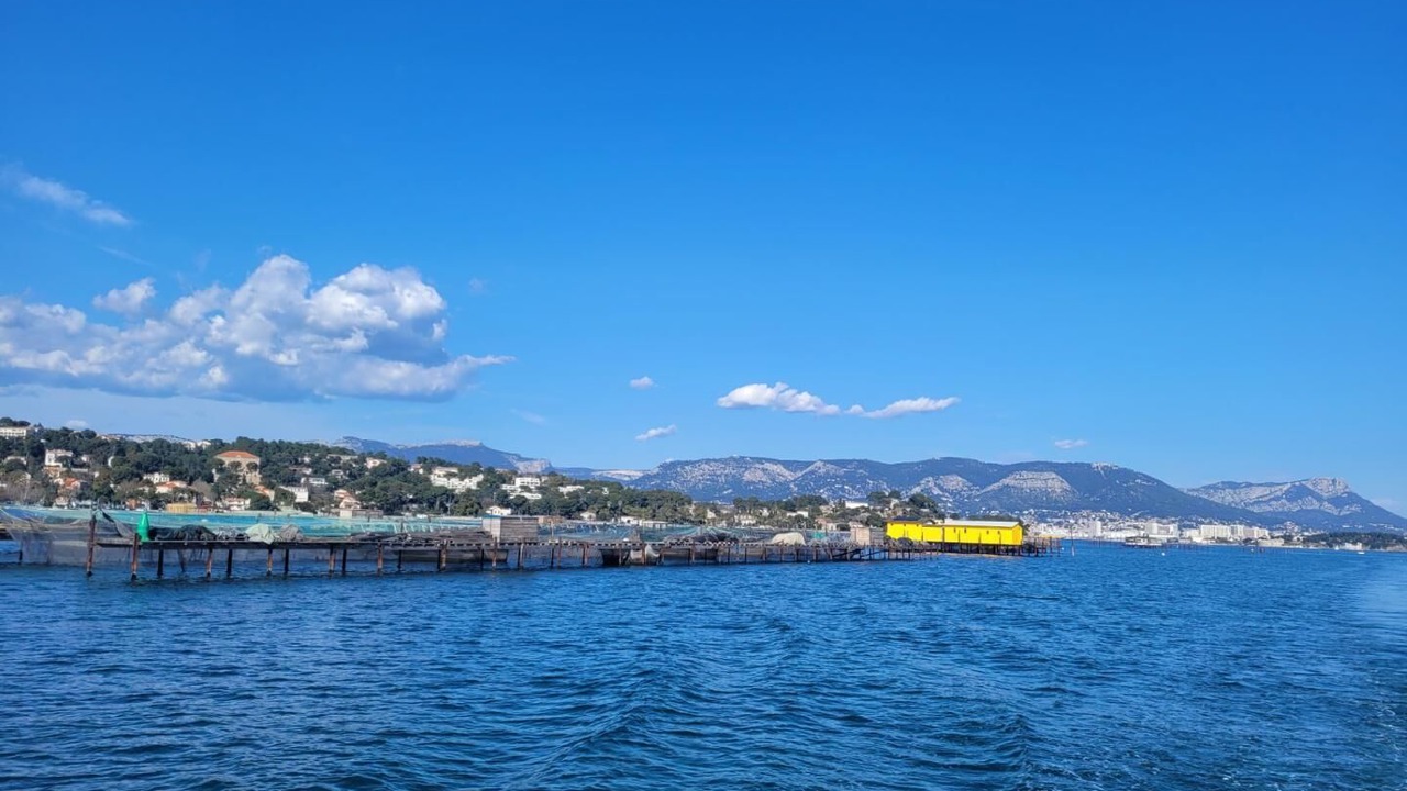 Photo of Bedroom in Cuers