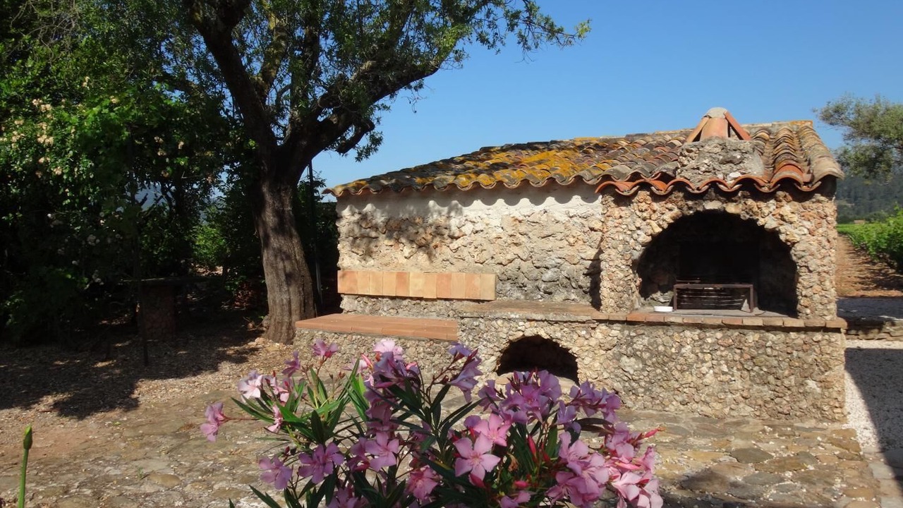 Photo of Outdoor in Cuers