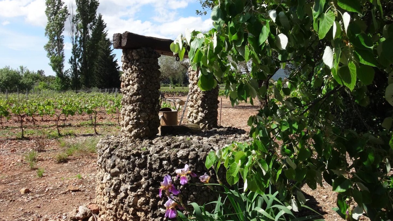 Photo of Outdoor in Cuers