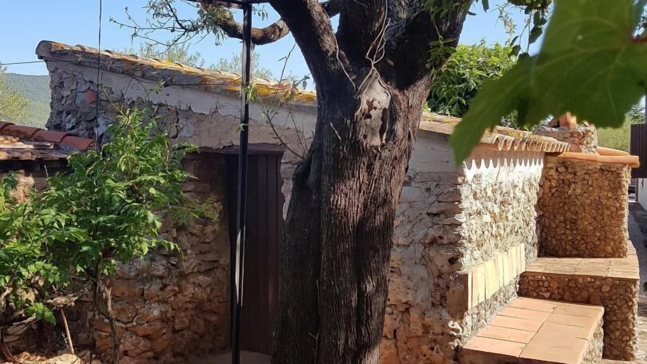 Photo of Outdoor in Cuers