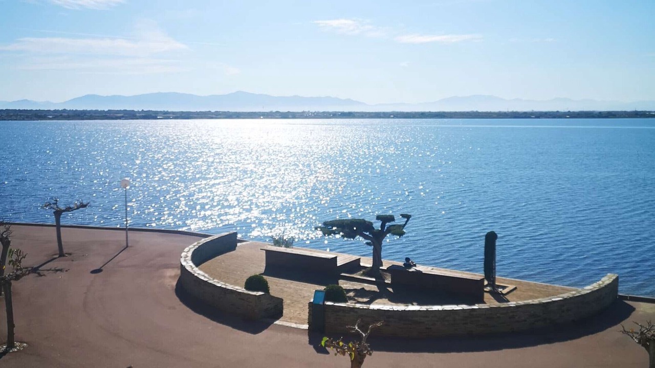 Photo of Others in Le Barcares