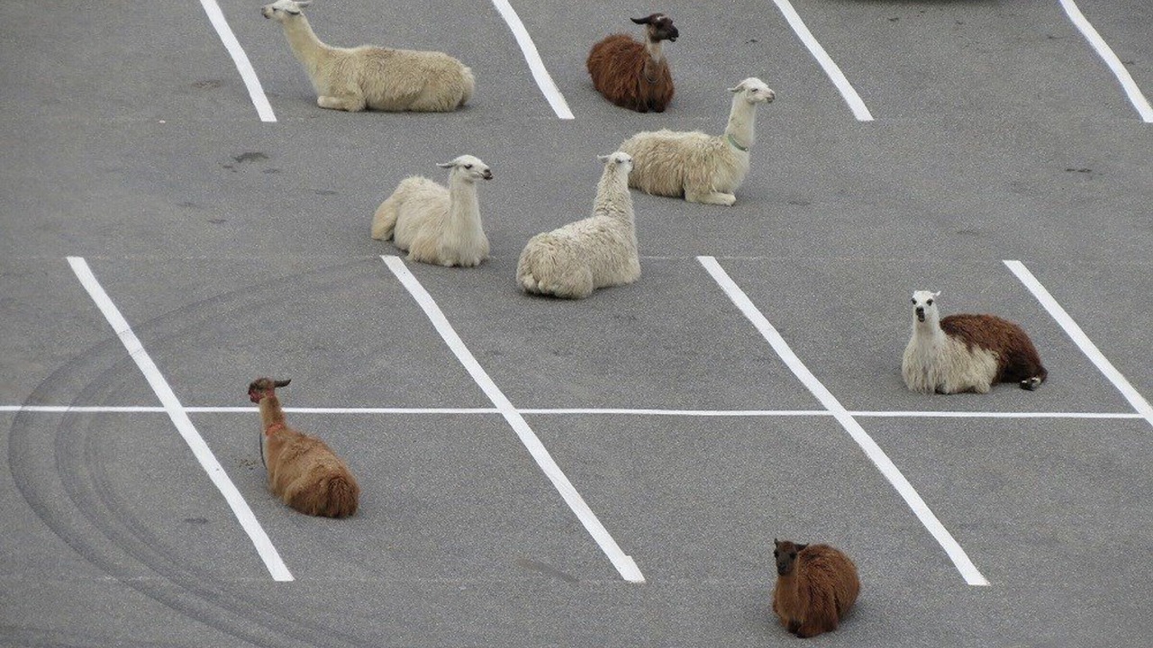 Photo of Outdoor in La Mongie