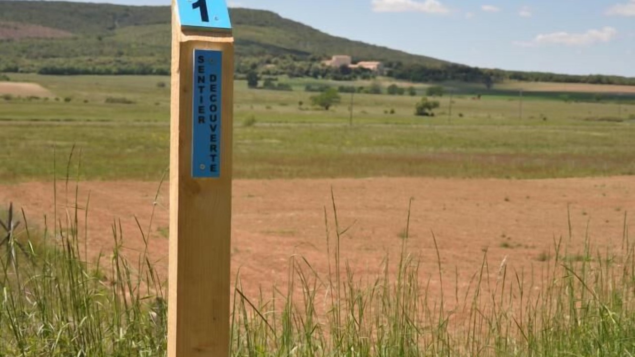 Photo of Others in La Verdiere