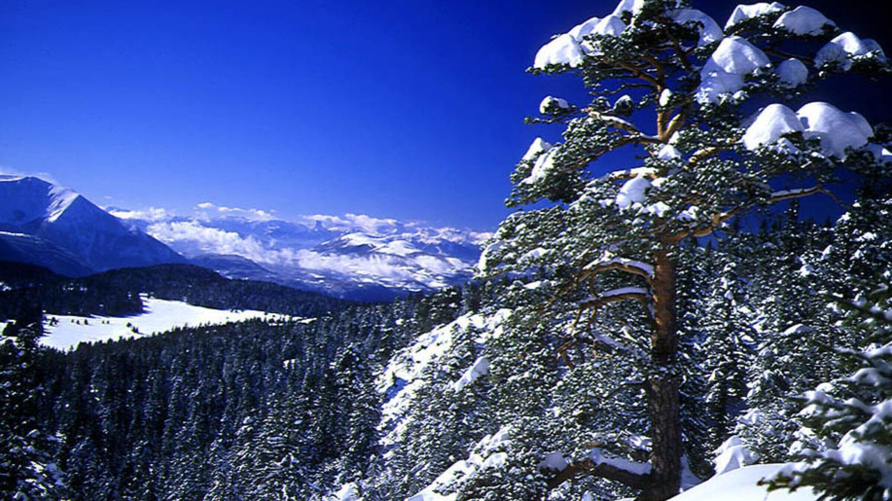 Photo of Others in Chamrousse