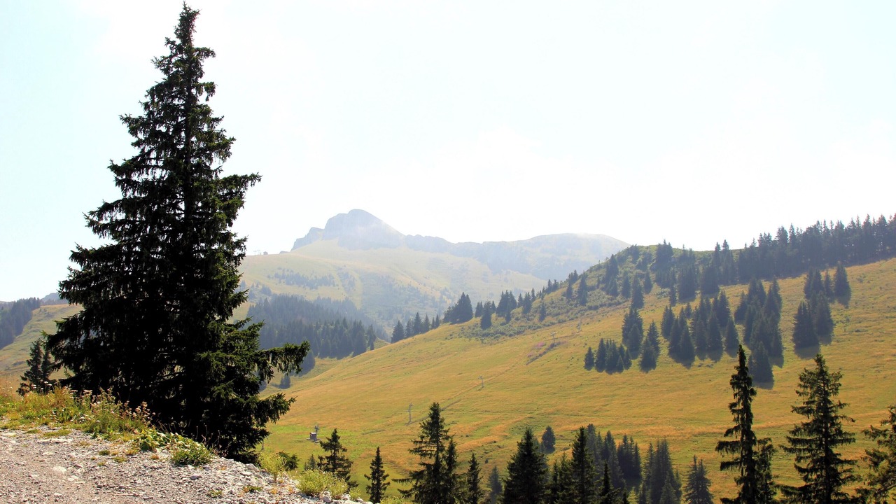 Photo of Others in Thollon-les-Memises