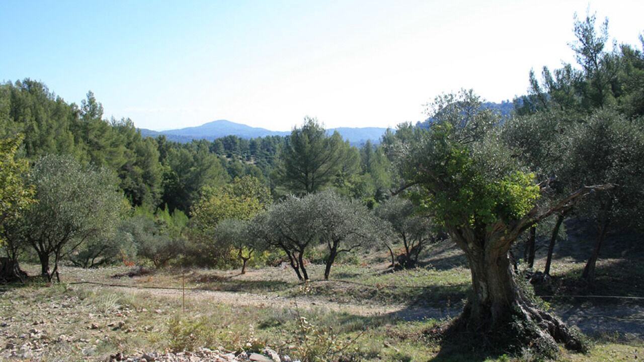 Photo of Outdoor in Belgentier