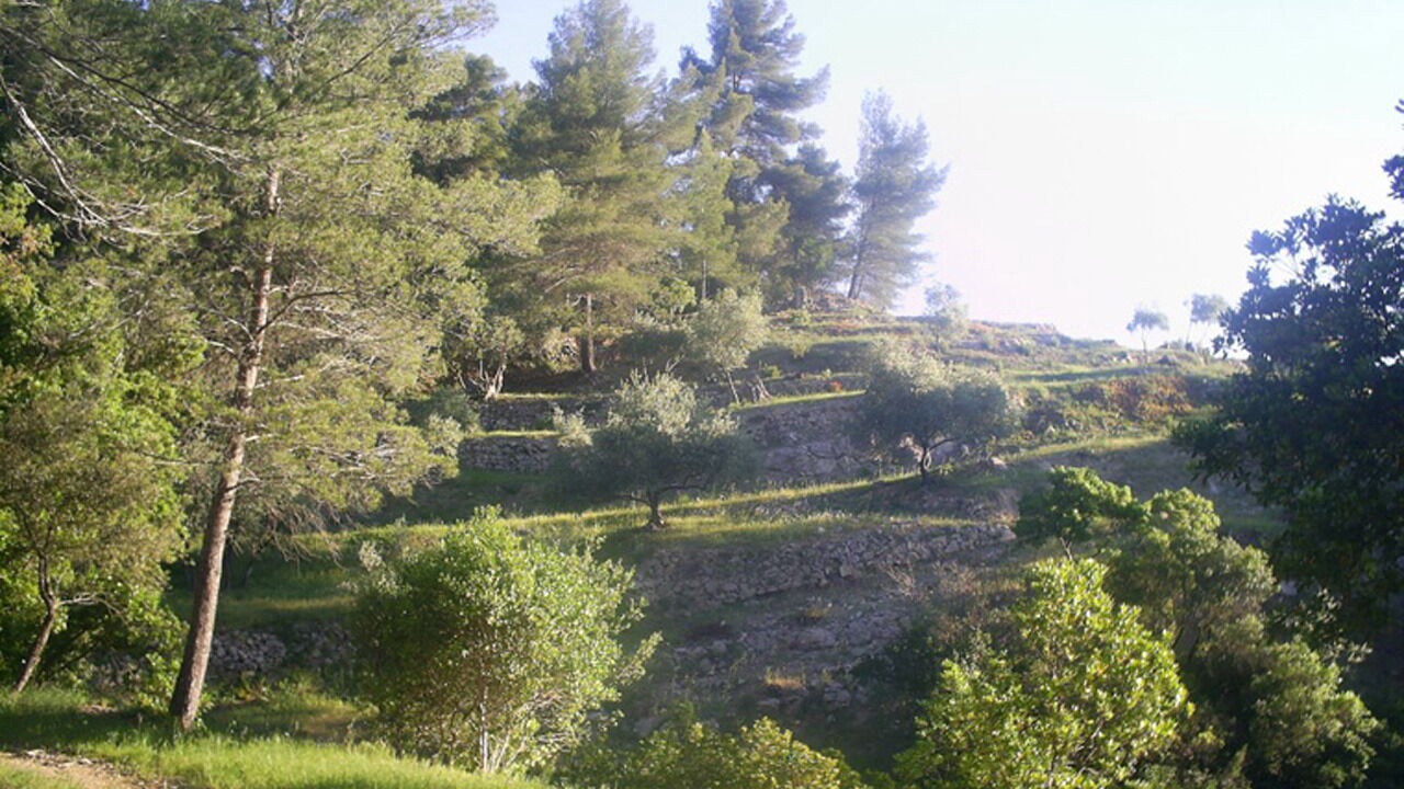 Photo of Others in Belgentier