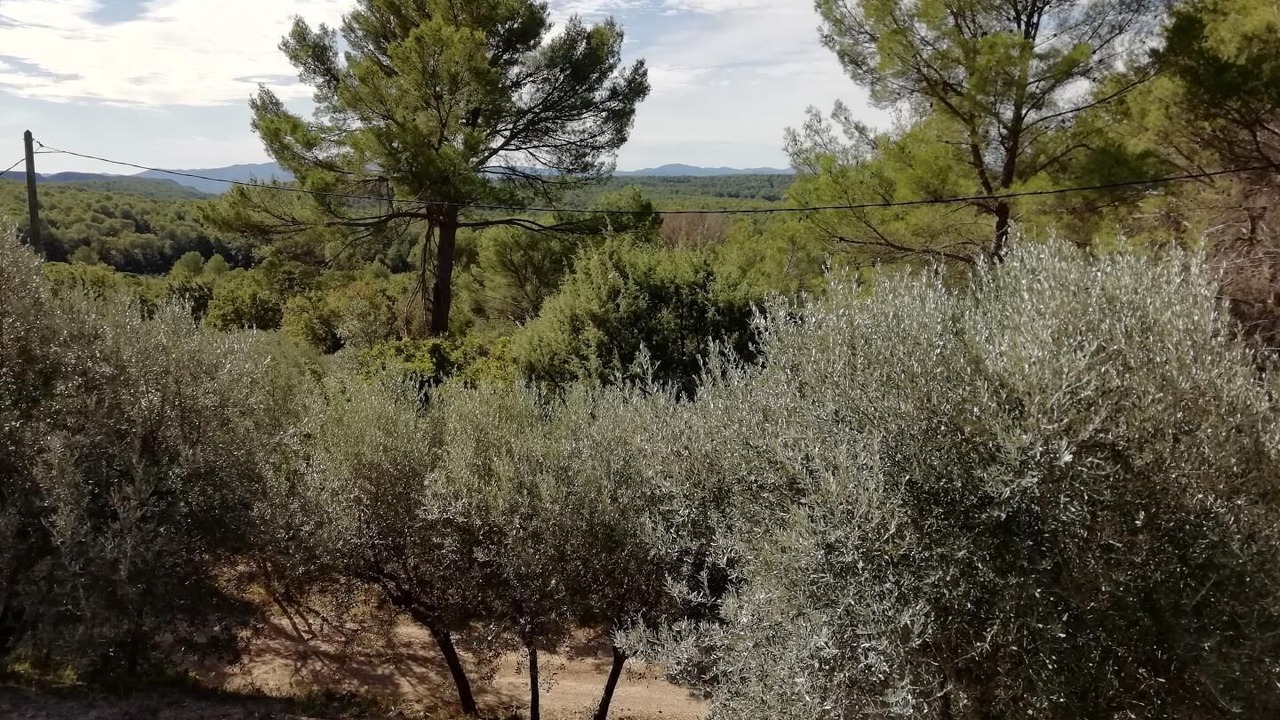 Photo of Outdoor in Callas