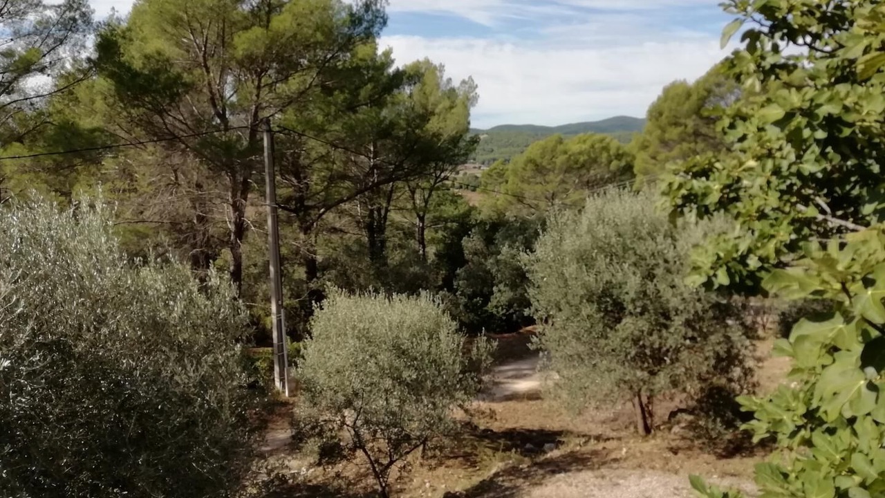 Photo of Outdoor in Callas