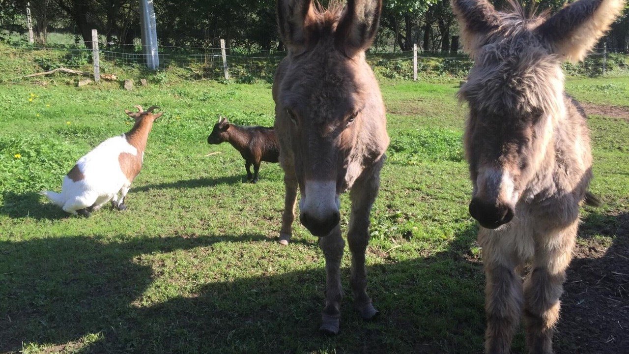 Photo of Others in La Vendelee