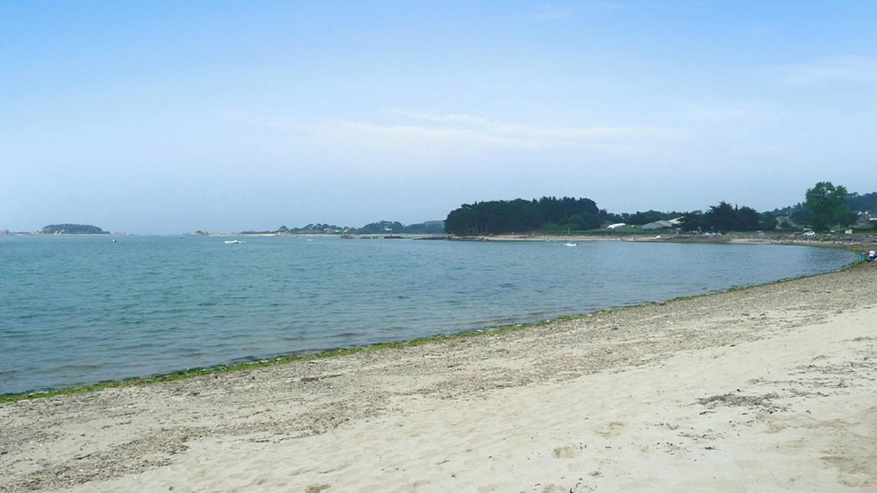 Photo of Others in Plougrescant