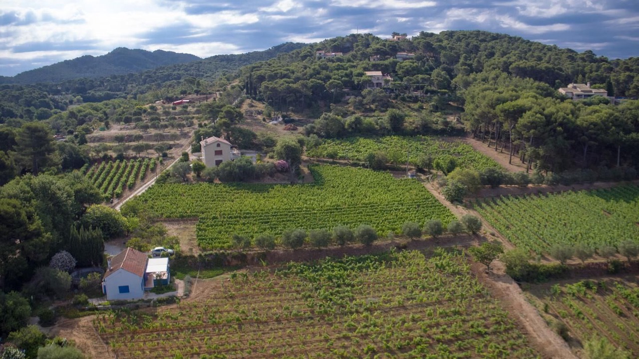 Photo of Outdoor in Six-Fours-les-Plages