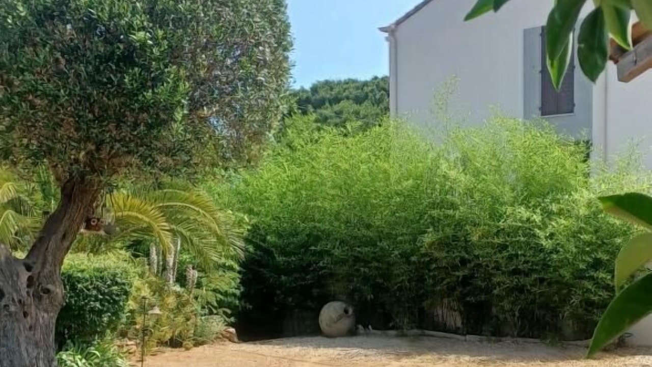 Photo of Others in La Croix-Valmer