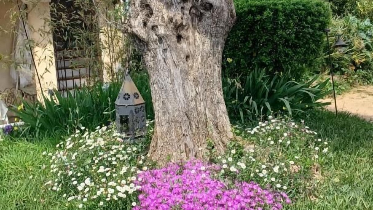 Photo of Others in La Croix-Valmer