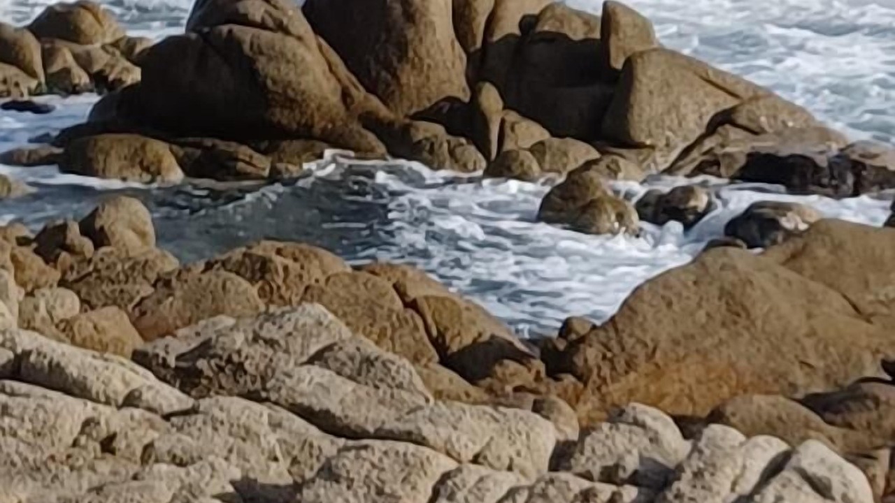 Photo of Others in La Croix-Valmer