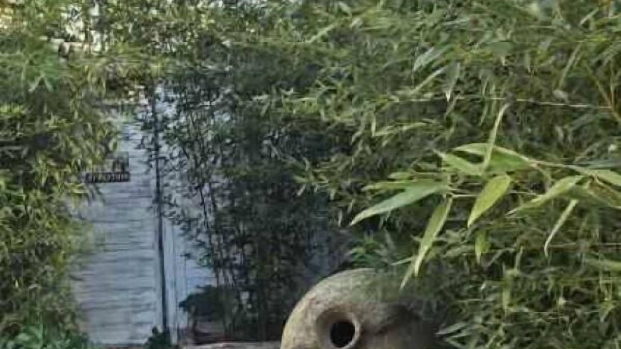 Photo of Outdoor in La Croix-Valmer