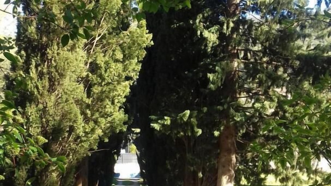 Photo of Outdoor in Le Revest-les-Eaux