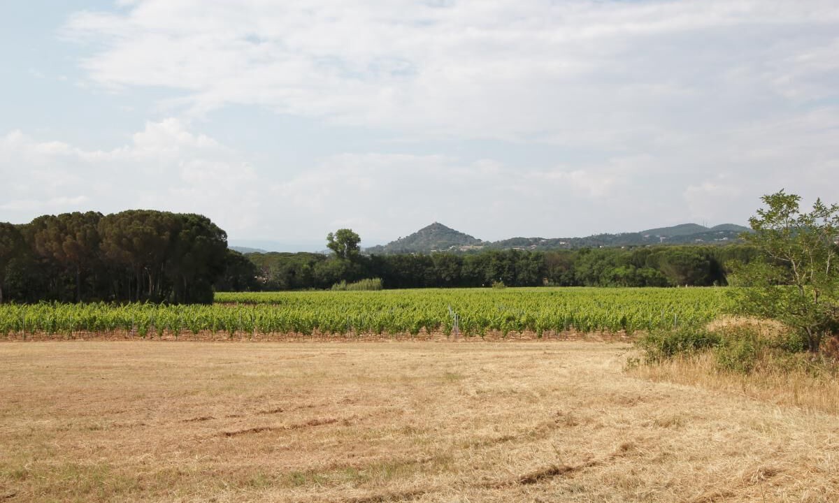 Photo of Others in Vidauban