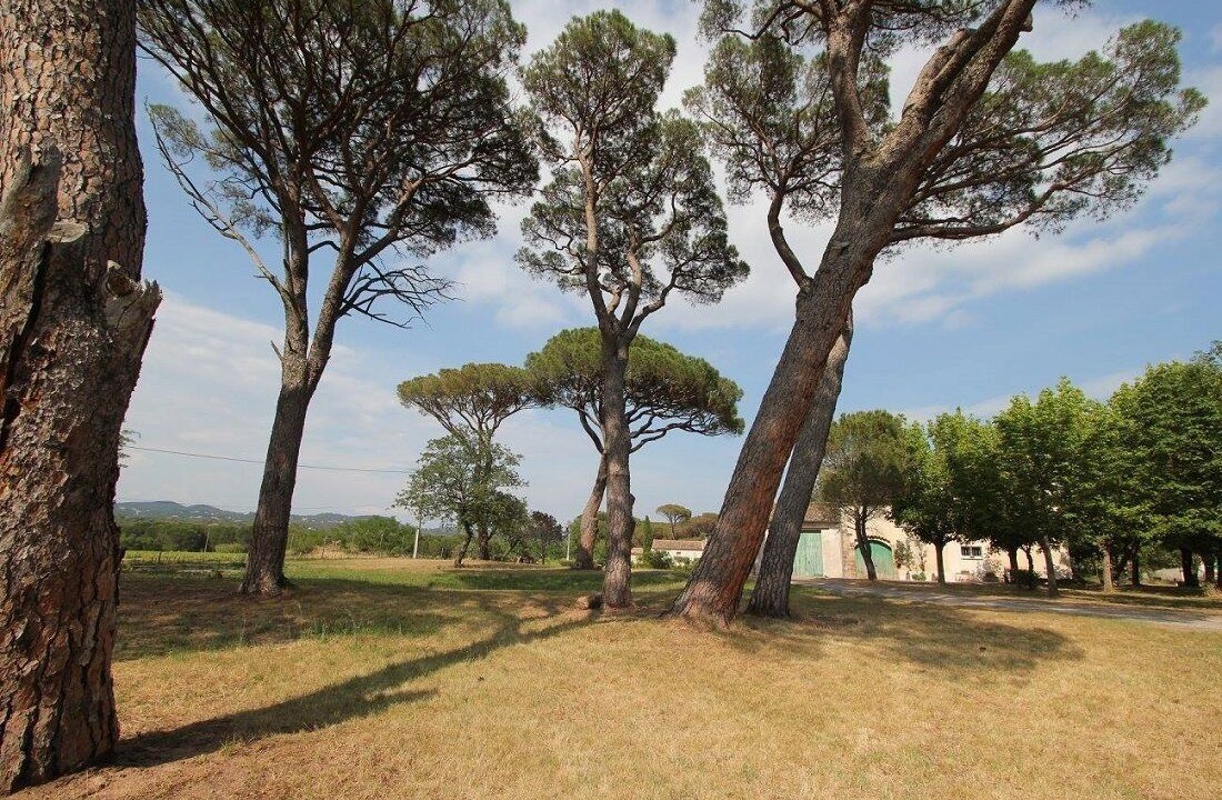 Photo of Outdoor in Vidauban