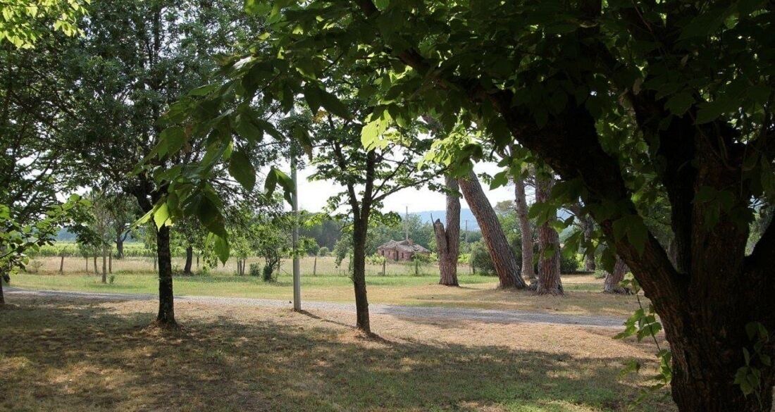 Photo of Outdoor in Vidauban