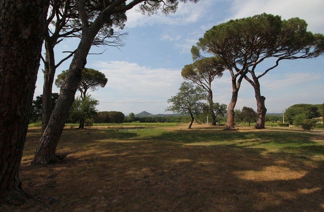Photo of Others in Vidauban