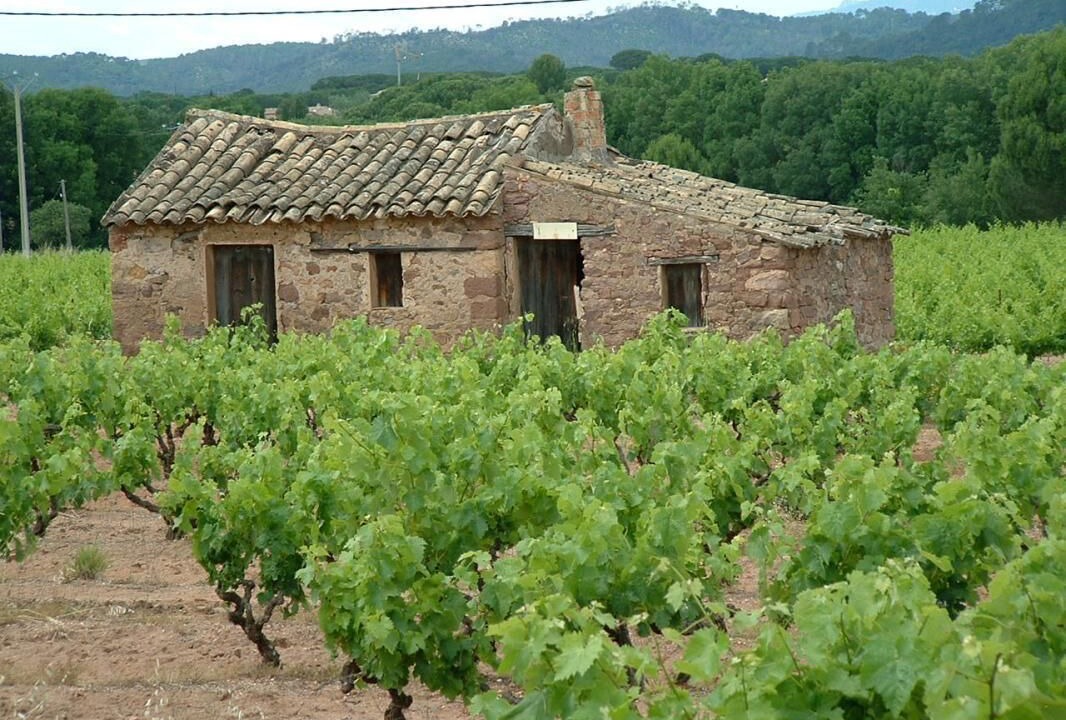 Photo of Outdoor in Vidauban