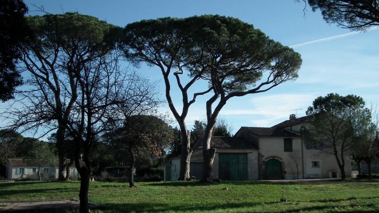 Photo of Outdoor in Vidauban