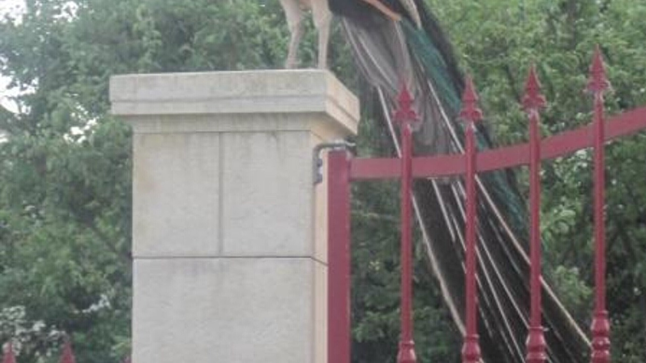 Photo of Outdoor in Sortosville-en-Beaumont