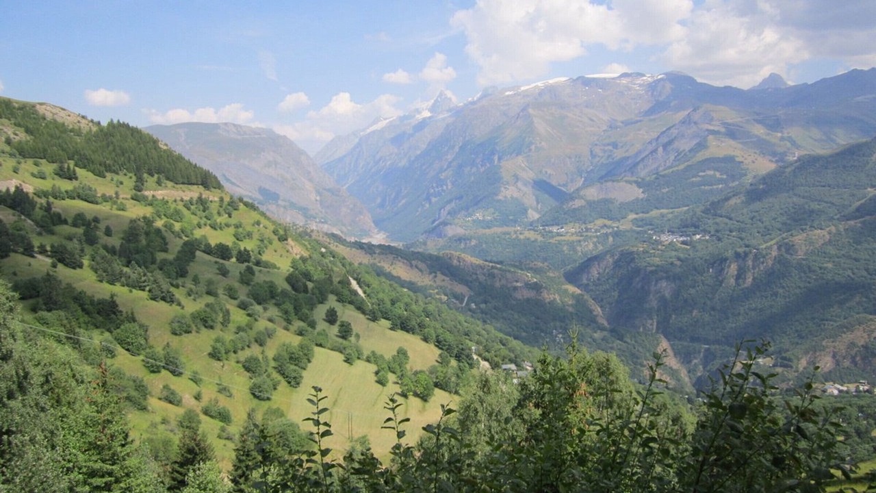 Photo of Others in Auris