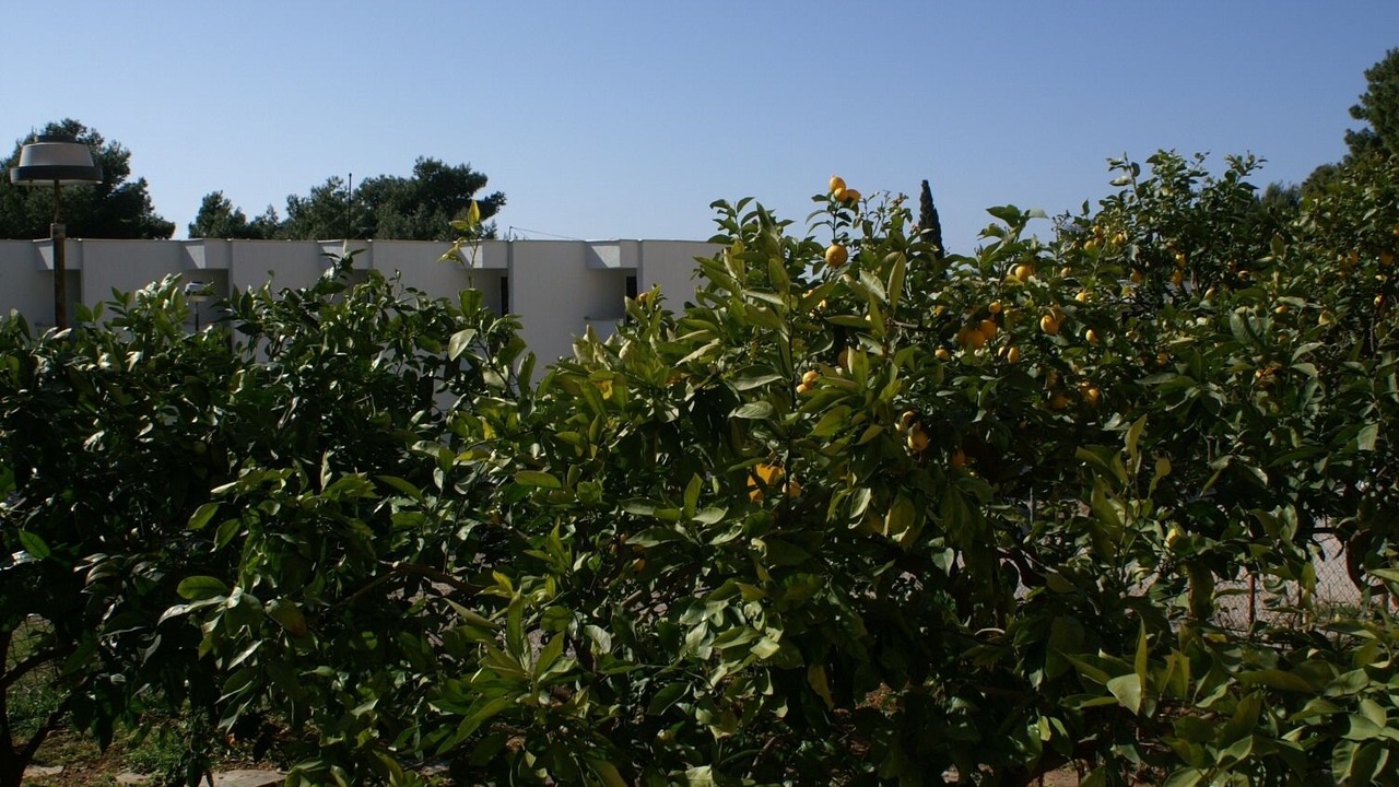 Photo of Patio Balcony in Podgora