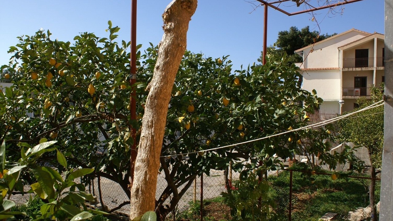 Photo of Patio Balcony in Podgora