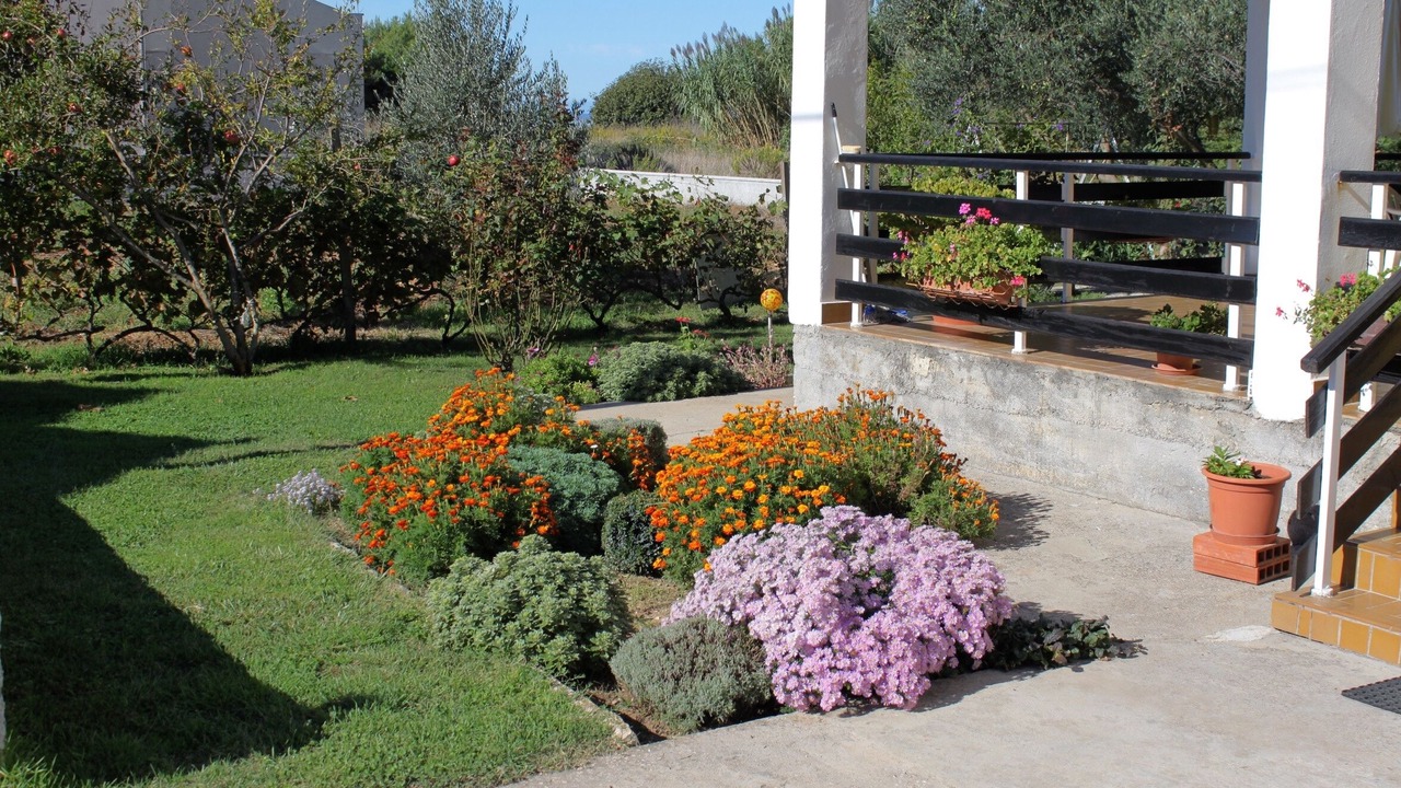 Photo of Outdoor in Privlaka