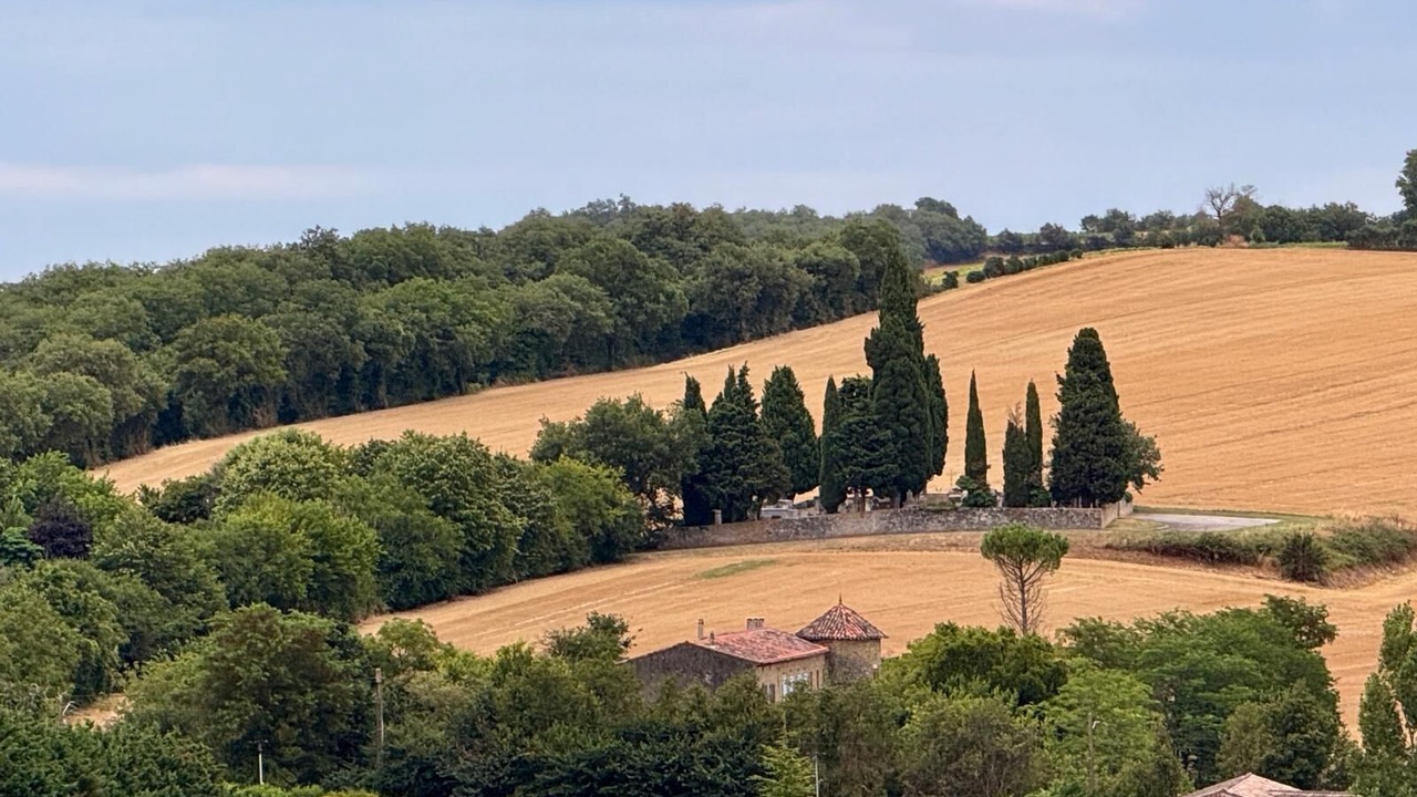 Photo of Others in Avignonet-Lauragais