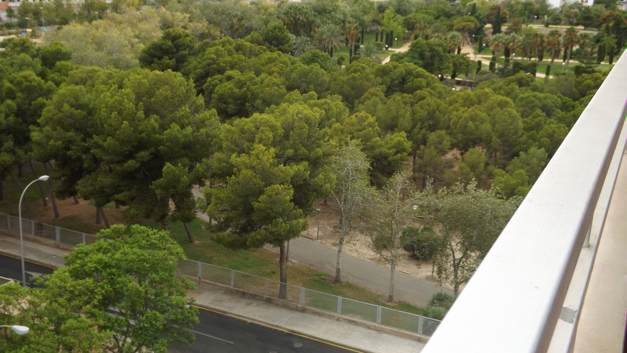 Photo of Outdoor in Lo Morant-San Nicolas de Bari