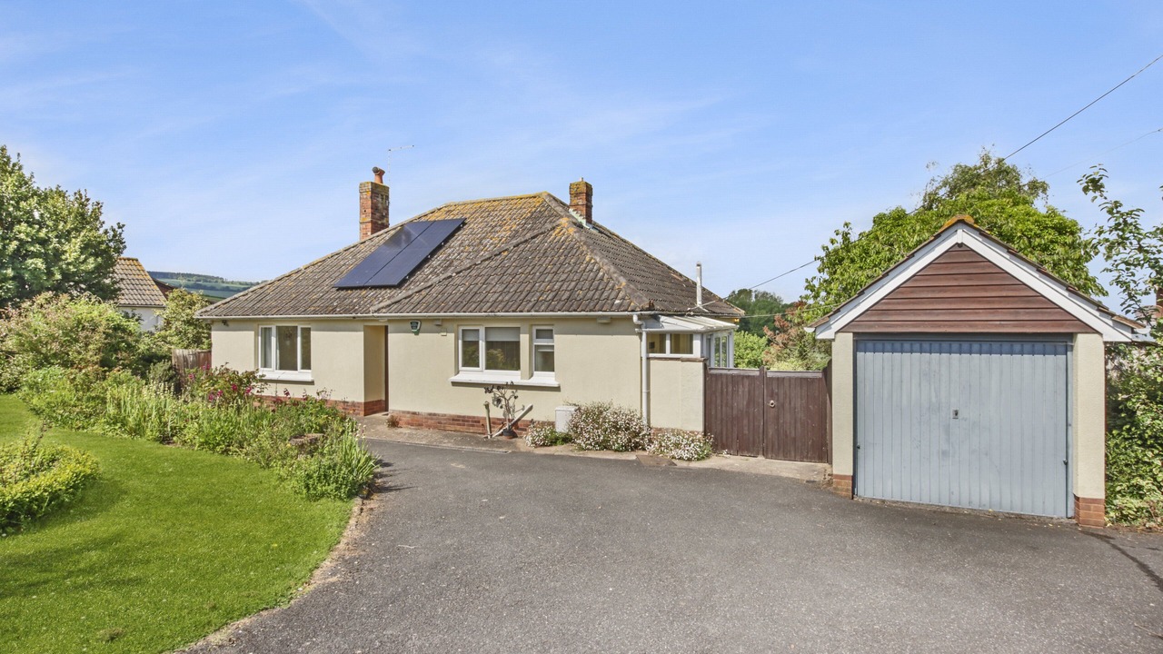 Photo of Others in Blue Anchor