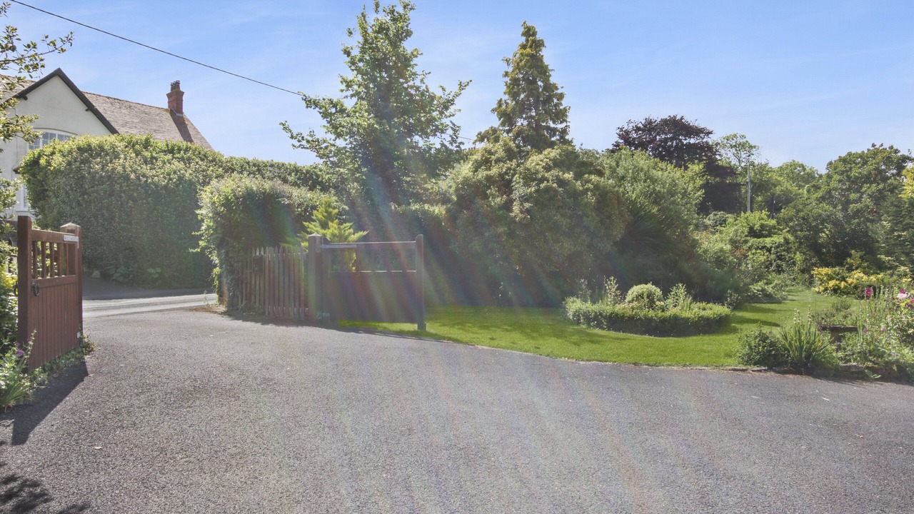 Photo of Others in Blue Anchor