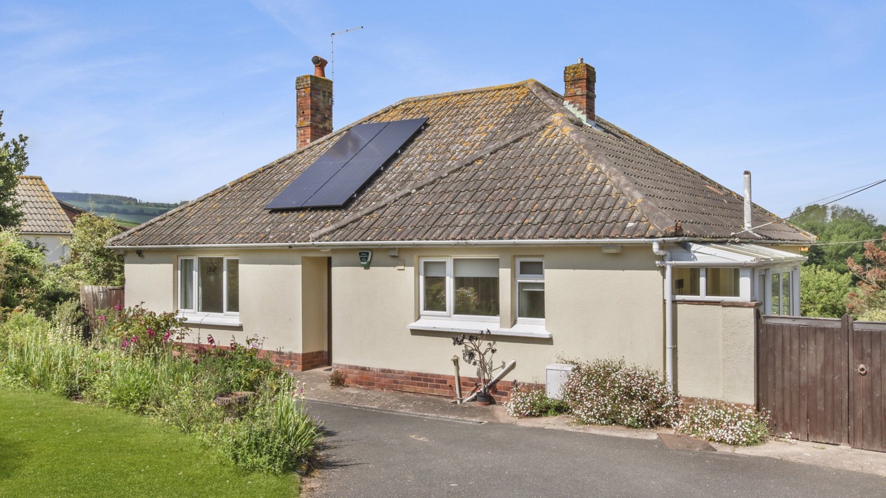 Photo of Others in Blue Anchor