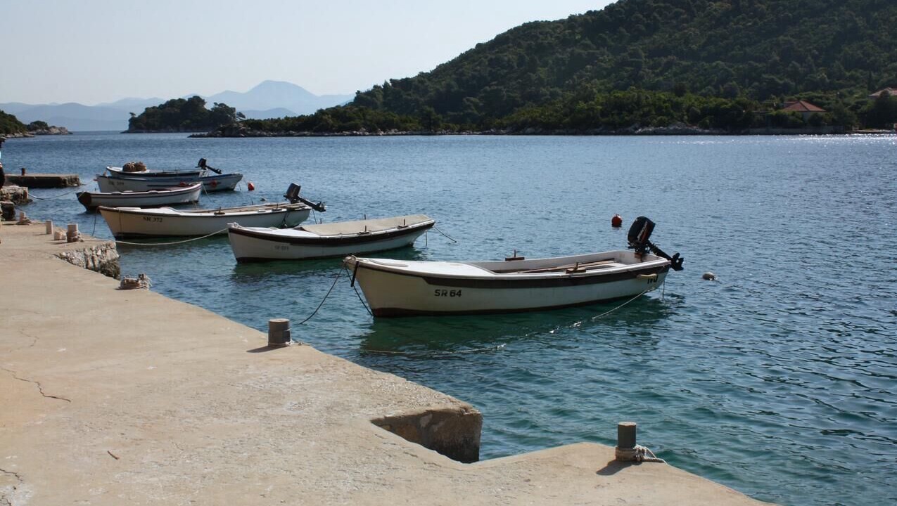 Photo of Others in Prozurska Luka
