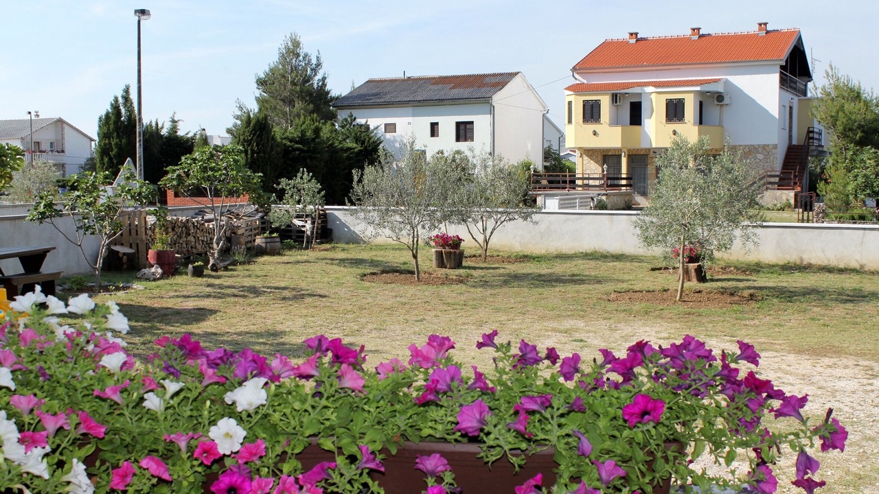 Photo of Others in Seline