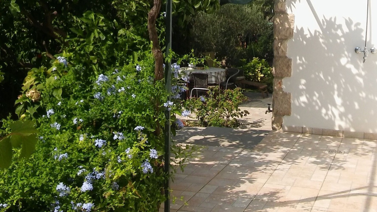 Photo of Outdoor in Milna (Brac)