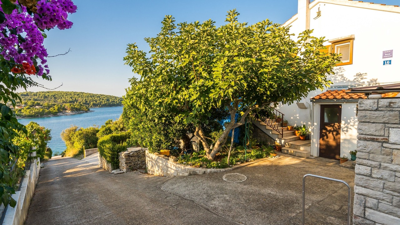 Photo of Outdoor in Necujam