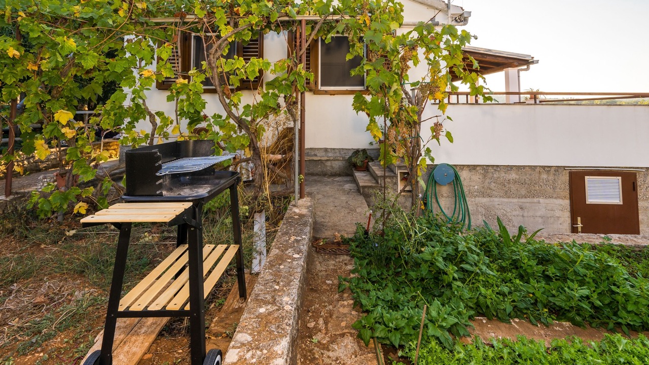 Photo of Outdoor in Necujam