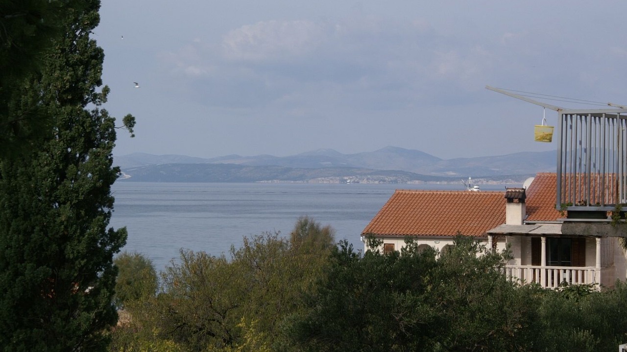 Photo of Others in Mirce