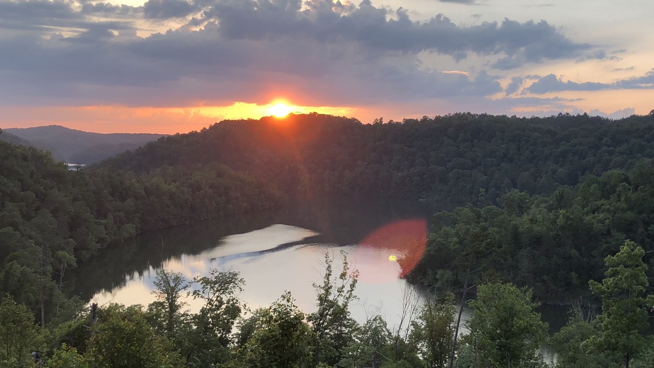 Photo of Others in Tarheel